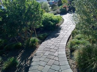 Curved paver walkway through landscaping